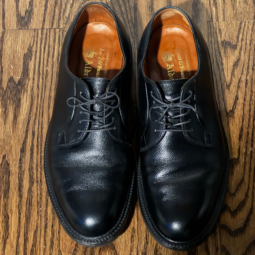Alden x Lost & Found Plain Toe Butcher size 10E